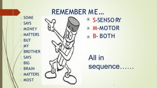 SOME
SAYS
MONEY
MATTERS
BUT
MY
BROTHER
SAYS
BIG
BRAIN
MATTERS
MOST
REMEMBER ME…
S-SENSO RY
M-MOTOR
B- BOTH
All in
sequence……
4
 