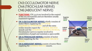 CN3:OCCULOMOTOR NERVE
CN4:(TROCHLEAR NERVE)
CN6:(ABDUCENT NERVE)
 FUNCTIONS: CN 3,4,6 are involved in the control
of the eye movements and are therefore usually
examined together.
 CN 3:(OCCULMOTOR NERVE):chiefly consists of
motor fibers supplying the LEVATOR
PALPEBRAE SUPERIORIS and all the extra
ocular muscles expect the LATERAL RECTUS
muscle and the SUPERIOR OBLIQUE MUSCLE.
Occulomotor nerve is mainly involved in
constriction of pupil and maintain a open eyelid.
 CN 4:(TROCHLEAR NERVE):consists of motor
fibres supplying the the SUPERIOR OBLIQUS
muscle.
 CN 6:(ABDUCENT NERVE):consists of motor fibers
supplying the LATERAL RECTUS muscle.
Medial
rectus
CN III
Superior
oblique
CN IV
Inferior
rectus
Superior
rectus
CN III
Inferior
oblique
CN III
CN III
Lateral
rectus
CN VI
 