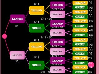 5/11 6/11 5/11 5/11 6/11 6/11 4/10 = 2/5 6/10 = 3/5 5/10 = ½ 4/10 = 2/5 6/10 = 3/5 5/10 = ½ 5/10 = ½ 5/10 = ½ ½ ½ ½ ½ 2/5 2/5 2/5 2/5 2/5 ½ ½ ½ ½ 2/5 2/5 2/5 LEAFLESS LEAFLESS LEAFLESS LEAFLESS LEAFLESS 