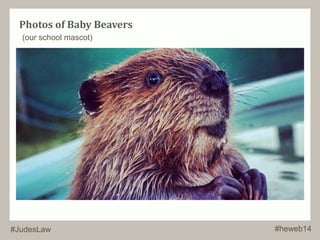 Photos of Baby Beavers 
(our school mascot) 
#JudesLaw #heweb14 
 