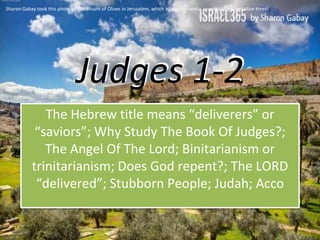 Judges 1-2
The Hebrew title means “deliverers” or
“saviors”; Why Study The Book Of Judges?;
The Angel Of The Lord; Binitarianism or
trinitarianism; Does God repent?; The LORD
“delivered”; Stubborn People; Judah; Acco
Sharon Gabay took this photo of the Mount of Olives in Jerusalem, which is, appropriately, covered in ancient olive trees!
 