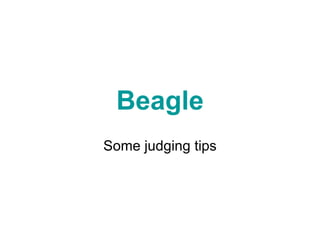 Beagle Some judging tips 
