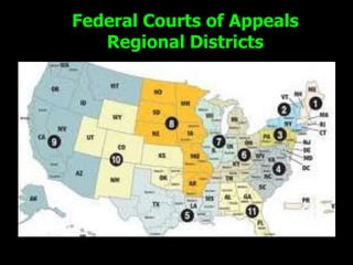 Federal Courts of Appeals
   Regional Districts
 