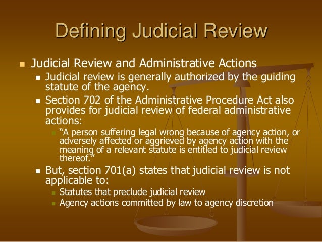 Judicial review
