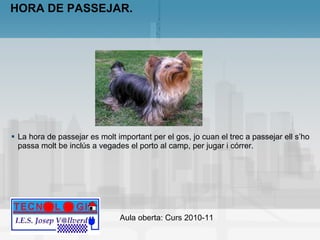 HORA DE PASSEJAR. La hora de passejar es molt important per el gos, jo cuan el trec a passejar ell s’ho passa molt be inclús a vegades el porto al camp, per jugar i córrer. 
