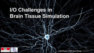 Judit Planas | DDN User Group | ISC 2017 49
I/O Challenges in
Brain Tissue Simulation
Judit Planas | DDN User Group | ISC 2017
 