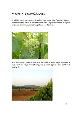 ACTIVITATS ECONÒMIQUES

Ara hi ha menys agricultura; al secà es conrea cereals, farratge, llegums i
arbres fruiters; també hi ha una mica de vinya i alguns avellaners; al regadiu
es conrea el farratge, mongetes, patates i hortalisses.




A on estic vivint, abans de construir les cases, hi havia camps de vinyes. A
casa tenim una vinya d’aquest camp, que la vàrem agafar i està plantada al
meu jardí.




                                                                       -7-
 