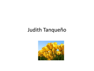 Judith Tanqueño 
