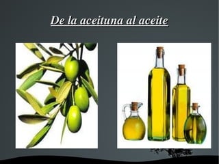 De la aceituna al aceite 