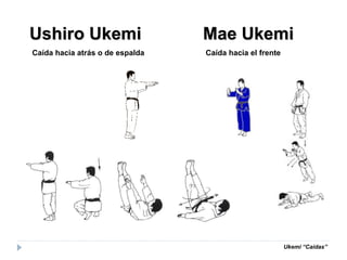 Ukemi “Caídas”
Ushiro Ukemi Mae Ukemi
Caída hacia atrás o de espalda Caída hacia el frente
 