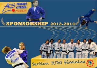 SPONSORSHIP 2012-2014




       Section J UDO féminine
 