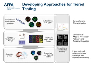 Computer Modelling Tox Using Computational Toxicology to Enable Risk-Based Chemical Safety ...