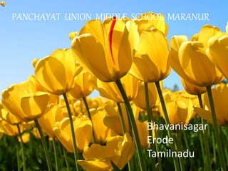 PANCHAYAT UNION MIDDLE SCHOOL MARANUR 
PANCHAYAT UNION MIDDLE SCHOOL 
MARANUR 
Bhavanisagar 
Erode 
Tamilnadu 
 