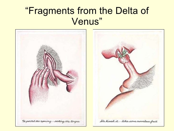 Das Delta Der Venus Das Delta Der Venus