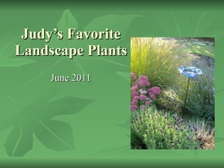 Judy’s Favorite Landscape Plants  June 2011 