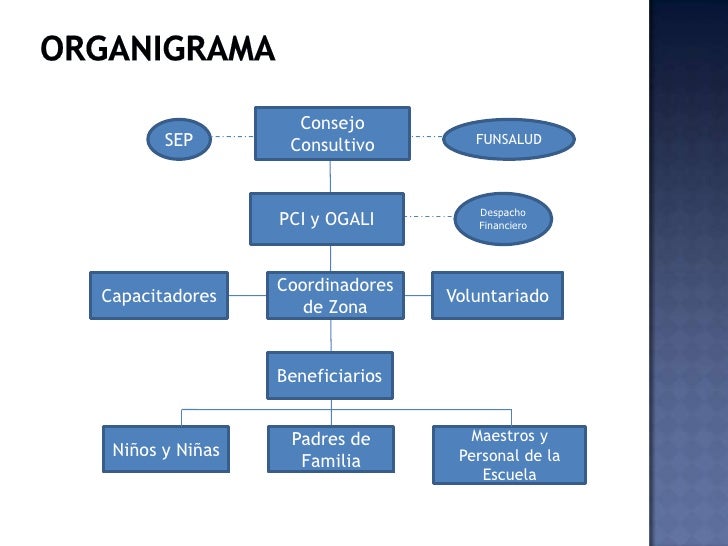 Suplementos termogenicos para adelgazar