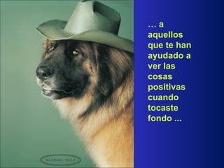 …   a aquellos que te han ayudado a ver las cosas positivas  cuando tocaste fondo ... 