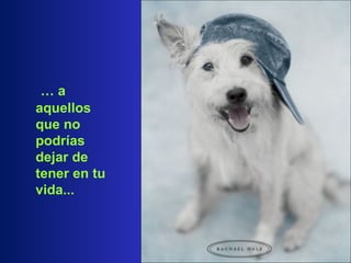 …   a aquellos que no podrías dejar de tener en tu vida...  