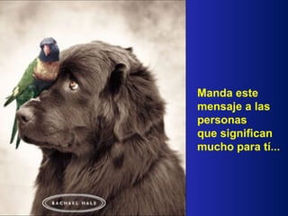 Manda este mensaje a las personas  que significan mucho para tí... 