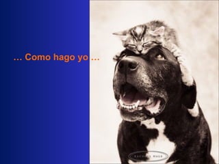 …  Como hago yo  … 