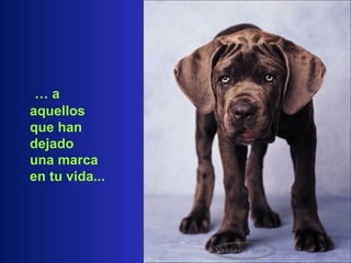 …   a aquellos que han dejado  una marca en tu vida... 