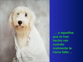 …   a aquellos que te han hecho reír   cuando realmente te hacía falta ... 