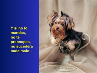 Y si no lo mandas,  no te preocupes,  no sucederá nada malo... 