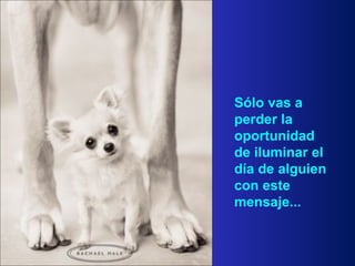 Sólo vas a perder la oportunidad  de iluminar el día de alguien  con este mensaje... 