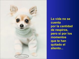 La vida no se cuenta  por la cantidad de respiros, pero sí por los momentos  que te han quitado el aliento... 