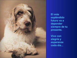 El más espléndido futuro va a depender siempre de tu presente. Vive con alegría y esperanza cada día... 