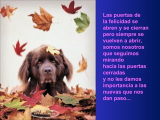 Las puertas de   la felicidad  se abren y se cierran pero siempre  se vuelve n  a abrir, somos  nosotros  que  seguimos mirando  hacia la s  puerta s  cerrada s y no le s  damos importancia a  las  nueva s  que  nos dan paso... 