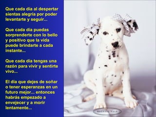 Que cada día al despertar sientas alegría por poder levantarte y seguir... Que cada día puedas sorprenderte con lo bello y positivo que la vida puede brindarte a cada instante... Que cada día tengas una razón para vivir y sentirte vivo... El día que dejes de soñar o tener esperanzas en un futuro mejor... entonces habrás empezado a envejecer y a morir lentamente... 