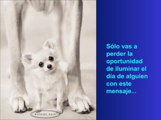 Sólo vas a
perder la
oportunidad
de iluminar el
día de alguien
con este
mensaje...
 