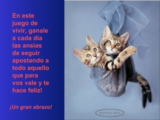 En este
 juego de
 vivir, ganale
 a cada día
 las ansias
 de seguir
 apostando a
 todo aquello
 que para
 vos vale y te
 hace feliz!

¡Un gran abrazo!
 