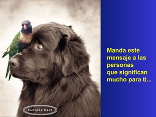 Manda este
mensaje a las
personas
que significan
mucho para tí...
 