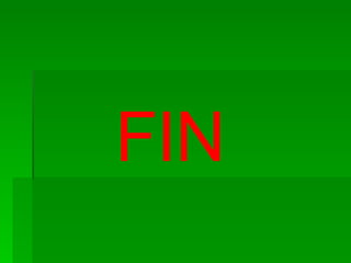 FIN 