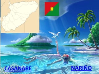 CASANARE NARIÑO
 
