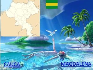 CAUCA MAGDALENA
 