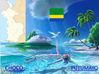 CHOCO PUTUMAYO
 
