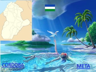 CÓRDOBA META
 