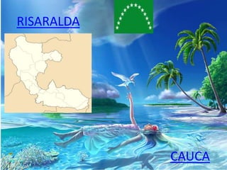 RISARALDA
CAUCA
 