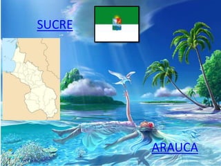 ARAUCA
SUCRE
 
