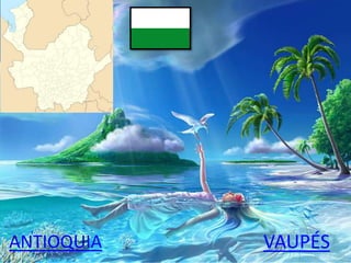 ANTIOQUIA VAUPÉS
 