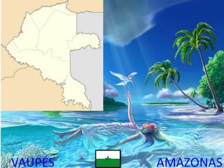 AMAZONASVAUPÉS
 