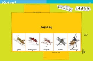 ¿Qué veo?                                                                                                                         21




                                                    línea de doblez




                                                                      insectos

                                                                                                                    línea de
                                                                                                                    doblez




                                     grillo   hormiga roja             mosquito             libélula   escarabajo
                                                                                  línea de doblez




2o preescolar | interiores.indd 21                                                                                             2/15/10 12:38:21 PM
 