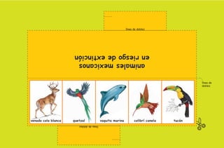 línea de doblez




                                                          en riesgo de extinción
                                                           animales mexicanos

                                                                                                                               línea de
                                                                                                                               doblez




                                     venado cola blanca   quetzal              vaquita marina         colibrí canela   tucán
                                                             línea de doblez




2o preescolar | interiores.indd 24                                                                                                        2/15/10 12:38:40 PM
 