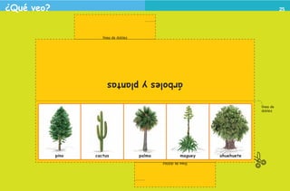 ¿Qué veo?                                                                                                             25




                                               línea de doblez




                                                 árboles y plantas

                                                                                                        línea de
                                                                                                        doblez




                                     pino   cactus               palma             maguey   ahuehuete
                                                                         línea de doblez




2o preescolar | interiores.indd 25                                                                                 2/15/10 12:38:46 PM
 