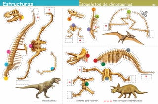 Estructuras                                                        Esqueletos de dinosaurios                                                49
                                                    3




                                         2
                                                                5
                                     1



                                                                                             8
                                                                                       6




                                                                       7




                                                                              9
                                                         4




                                                                      11
                                                                                                                                    10
                                                               12




                                             línea de doblez        contorno para recortar       línea corte para insertar piezas


2o preescolar | interiores.indd 49                                                                                                       2/15/10 12:39:23 PM
 