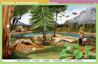 Paisajes sorprendentes                                                      Bosque                                                      59




                                                                                                               6



                             1




                                                                                          3                                      5




                                                           2                                           4




                                     1 pájaro carpintero   2 culebra   3 chapulín   4 escarabajo   5 ardilla       6 mariposas


2o preescolar | interiores.indd 59                                                                                                   2/15/10 12:39:57 PM
 