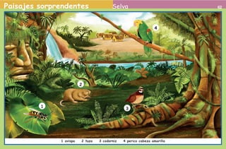 Paisajes sorprendentes                                           Selva                                  62




                                                                                           4




                                                    2




                                     1                                     3




                                         1 avispa   2 tuza   3 codorniz   4 perico cabeza amarilla


2o preescolar | interiores.indd 62                                                                   2/15/10 12:40:07 PM
 